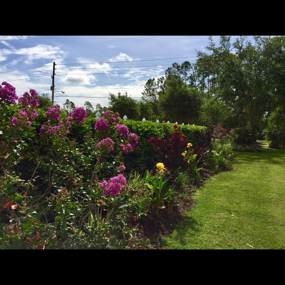 Meet your Posher, Jan.